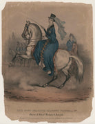 Queen Victoria on horseback, in the Royal Park at Windsor NPG D8150