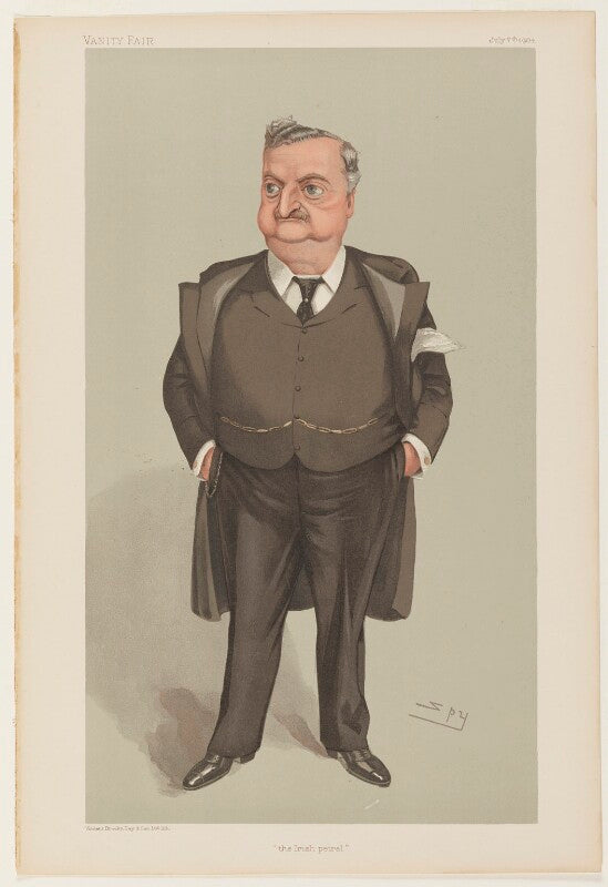 John edward redmond ('the irish petrel') npg d32636