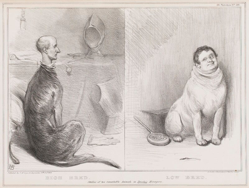 High bred and low bred (sir francis burdett, 5th bt; daniel o'connell) npg d41353