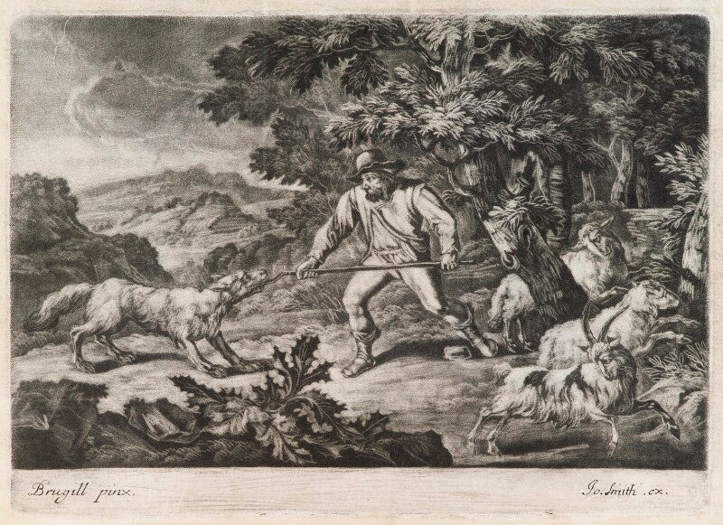 Good herdsman npg d11785