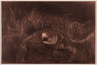 Engraved copper plate of an eye NPG D49604