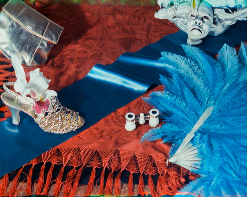 'chinese shawl' npg x221969