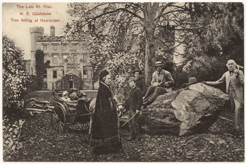 'The Late Rt. Hon. W.E. Gladstone Tree felling at Hawarden' NPG x5982