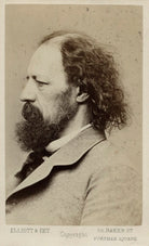 Alfred, Lord Tennyson NPG Ax17800