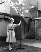 Gloria Jean Irene Dunn (née Hill), Lady Cottesloe NPG x88669