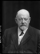 Alexander Wilkie NPG x43247