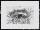 Engraving of an eye NPG D49609