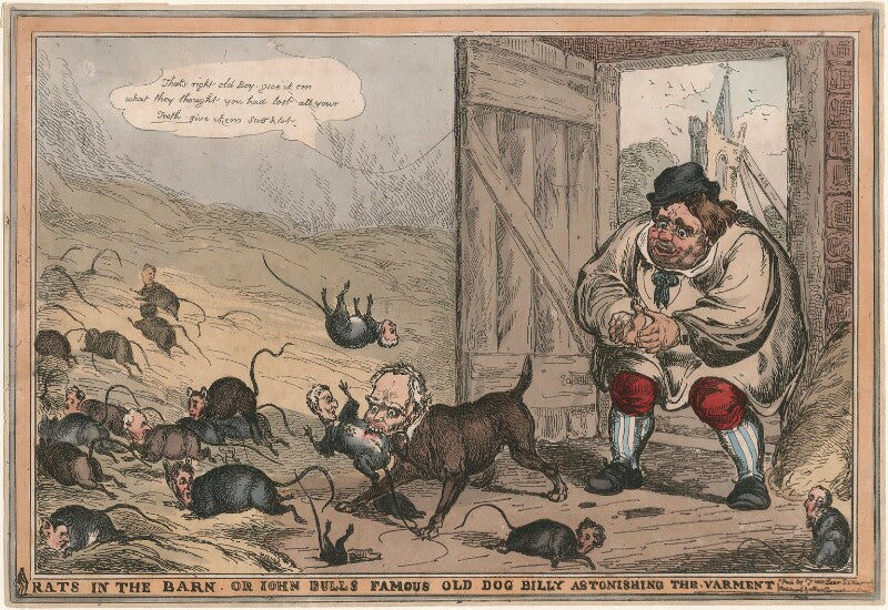 Rats in the barn, or john bulls famous old dog billy astonishing the varment npg d48765