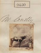 Mr Conolly NPG Ax59257