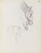 Horse study NPG D23134(14)