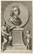 William Harvey NPG D27268