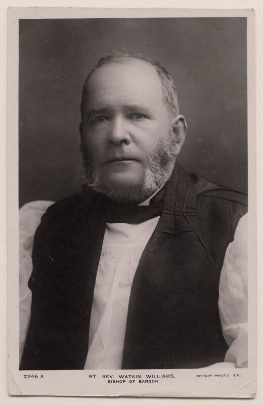 Watkin herbert williams npg x27420