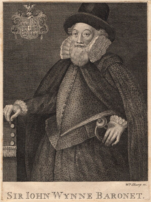 Sir john wynn of gwydir, 1st bt npg d8848