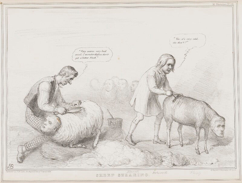 Sheep shearing npg d41465