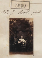 Mrs J. Hall NPG Ax55614