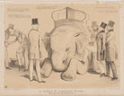A Lesson in Elephant Riding! NPG D46363