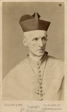 Henry Edward Manning NPG x12584