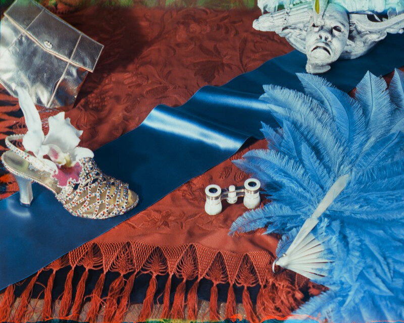 'chinese shawl' npg x221969