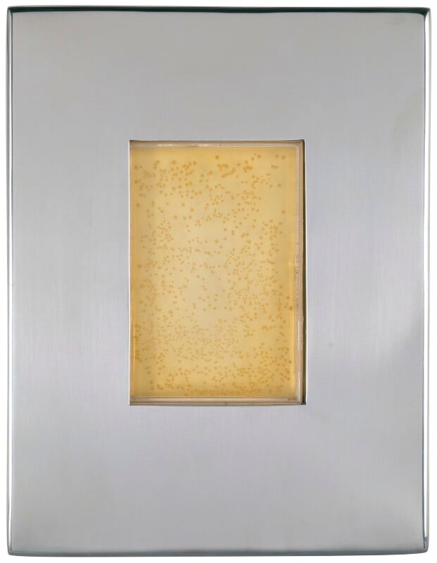 Sir john edward sulston npg 6591