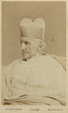 Henry Edward Manning NPG x12591