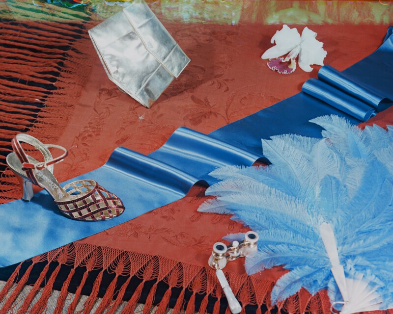 'chinese shawl' npg x221970