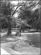 Sir Archibald Dennis Flower; Florence (née Keane), Lady Flower NPG x37162