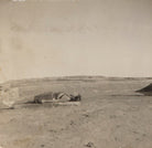 Comtesse Phyllis de Janzé (née Boyd) NPG Ax183280