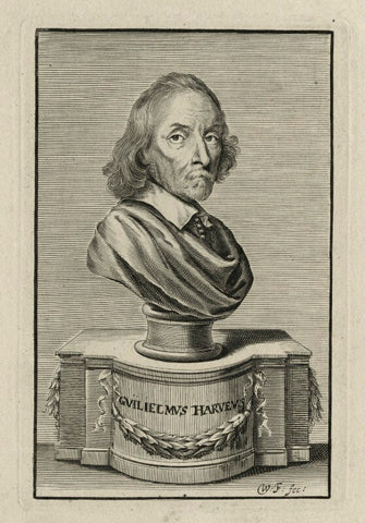 William Harvey NPG D27265