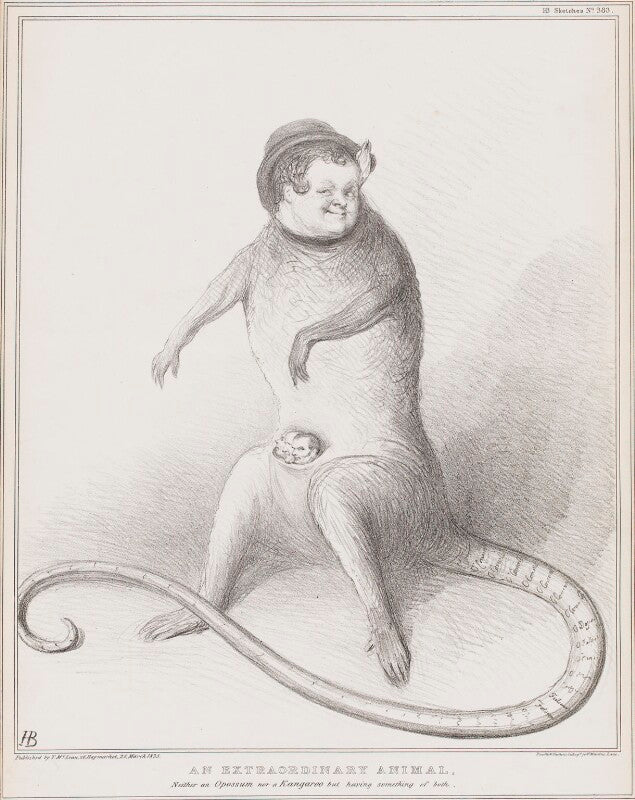 An extraordinary animal npg d41317