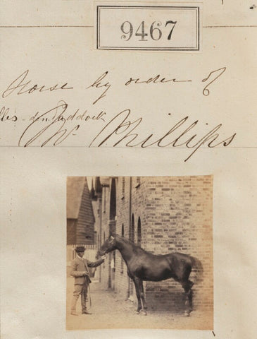 Horse by order of Mr Phillips NPG Ax59274