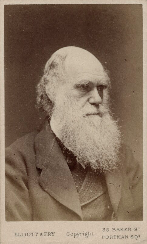 Charles darwin npg ax18207