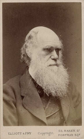 Charles Darwin NPG Ax18207