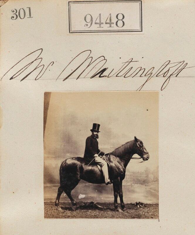 Mr whitingloft npg ax59255
