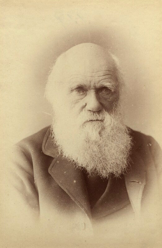 Charles darwin npg x17013