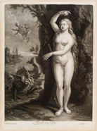 Andromeda NPG D11736