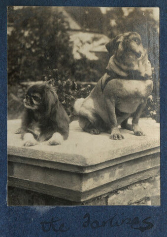'The darlings' (Lady Ottoline Morrell's dogs Nutt and Soie) NPG Ax141266