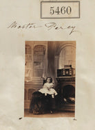 Master Percy NPG Ax55420