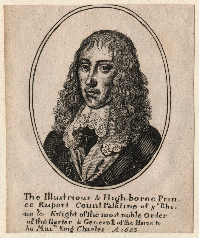 Prince rupert, count palatine npg d18153