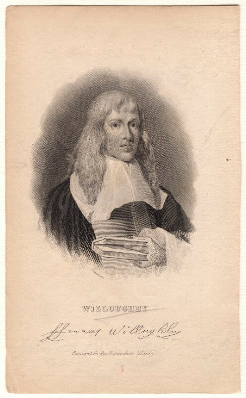 Francis willughby (willoughby) npg d8609