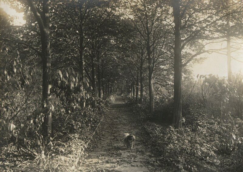 Chestnut avenue, leckhampton eveleen myers' dog 'ricky ticky' npg ax68466