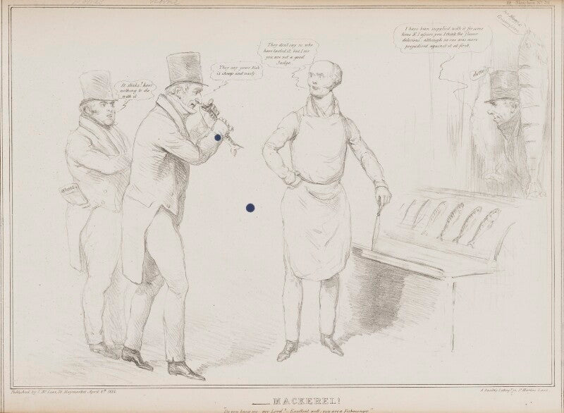 Mackerel! npg d41246