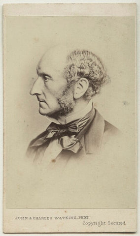 John Stuart Mill NPG Ax17818