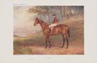 Herbert Ebsworth Jones ('Famous Racehorses No. 1. "Minoru."') NPG D45503