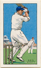 Robert Elliott Storey Wyatt NPG D49014