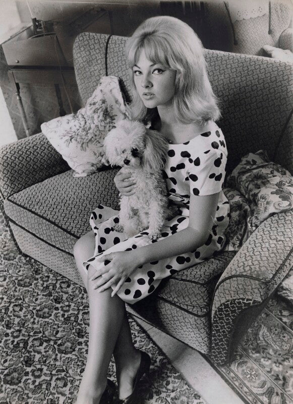 Mandy rice davies with her poodle npg x137326