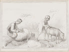 Sheep Shearing NPG D41465