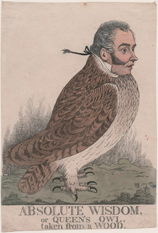 'absolute wisdom, or queen's owl. taken from a wood' (sir matthew wood, 1st bt) npg d13399