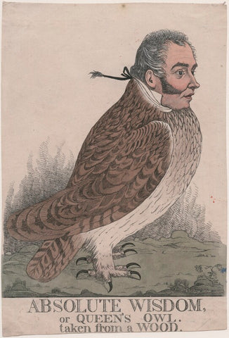 'Absolute wisdom, or Queen's owl. Taken from a wood' (Sir Matthew Wood, 1st Bt) NPG D13399