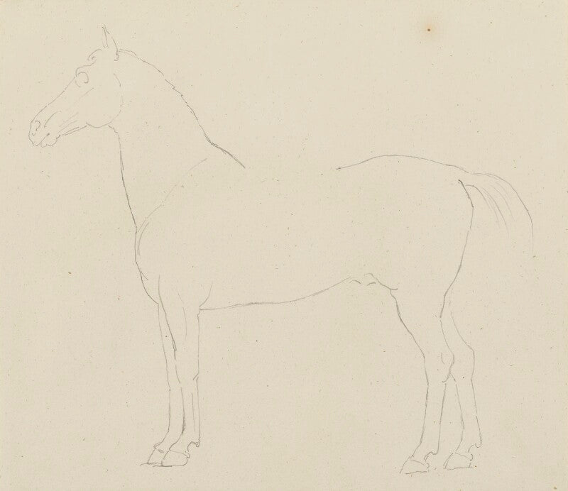 Profile of horses for statue of the duke of wellington npg 316a(135)