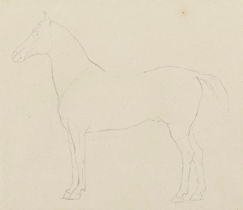 Profile of horses for Statue of the Duke of Wellington NPG 316a(135)